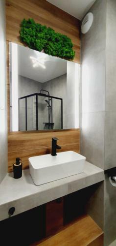 Apartamenty Hashtagwilda