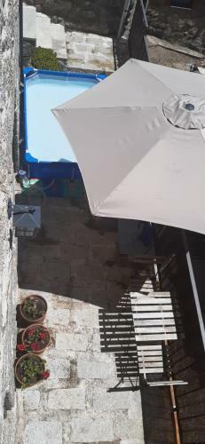 Las Pi�oneras