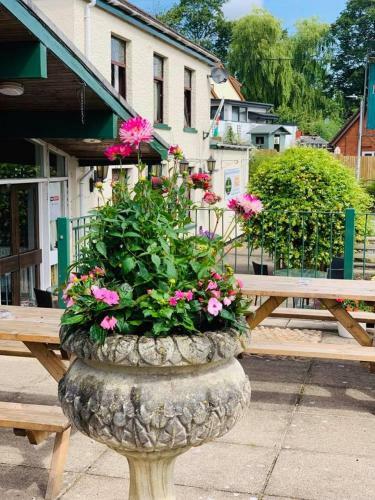 Hostal The Milton Hotel
