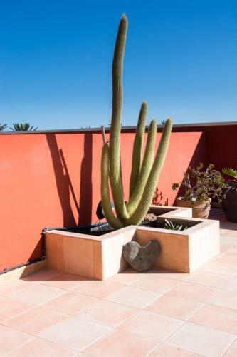 Apartamento Casa Nesea 2