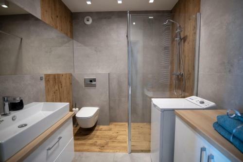 Vip Apartament