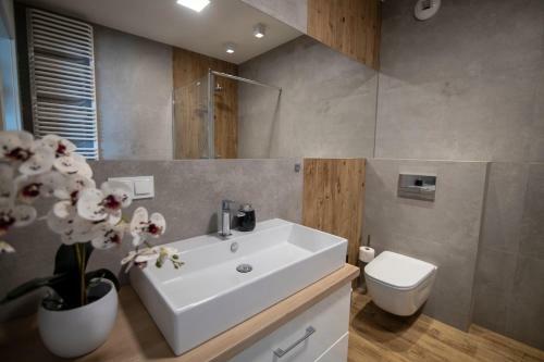 Vip Apartament
