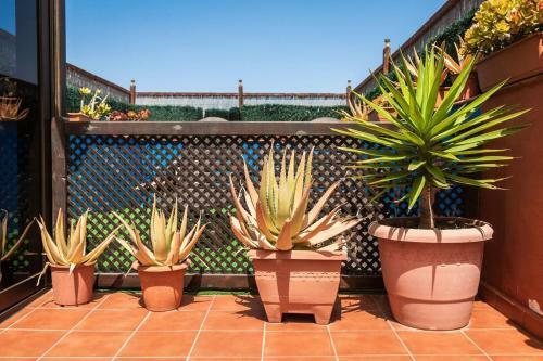 Apartamento Casa Orymar