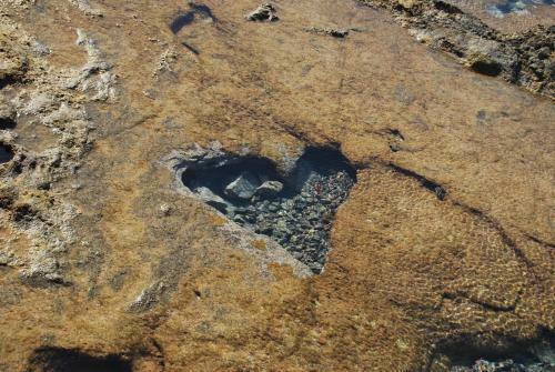 Apartamento Casa Yerida