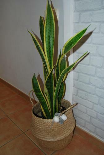 Apartamento Casa Yerida