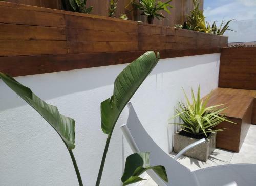 Apartamento Cotillo Sunset Paradise