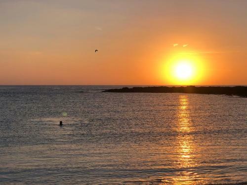 Apartamento Playa de La Concha