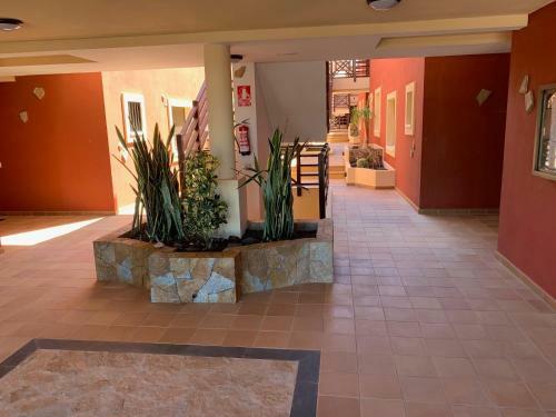 Apartamento Casa Achille