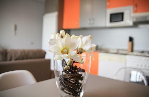Apartamento Jovia Vacacional El Cotillo