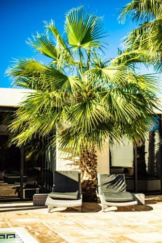 Villa Casa Paloma With Heated Pool In El Roque