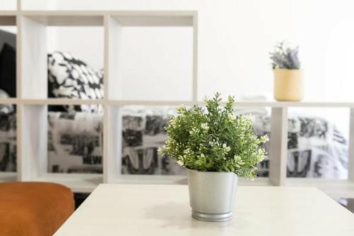 Apartamentos Tur�sticos Plaza San Juan 2