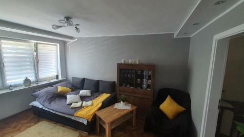Apartament Park Saski