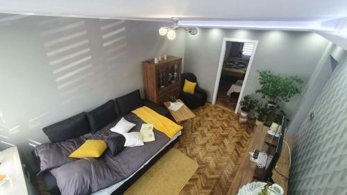 Apartament Park Saski