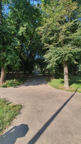 Apartament Park Saski