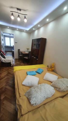 Apartament Park Saski
