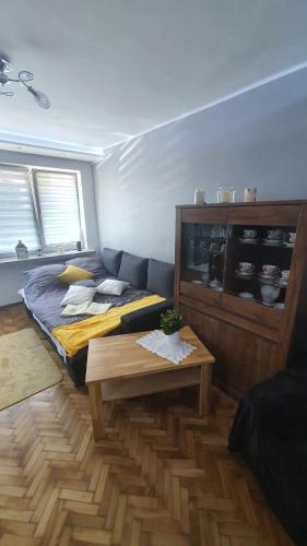 Apartament Park Saski