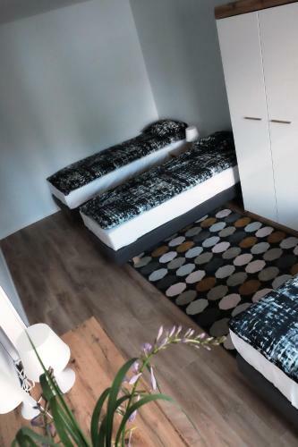 Apartament Mieszcza?ski