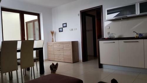 Lido Apartamenty