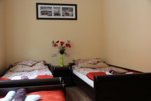 Albergue Baza Noclegowa Mistral