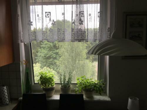 Apartament Park