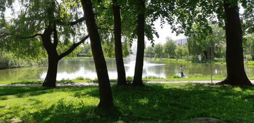Apartament S?oneczny