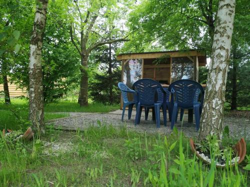 Agroturismo Noclegi Ma?gorzatka