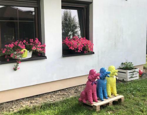 Apartament Studio Spytkowice