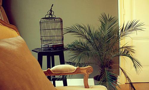 Bed & Breakfast Maison Indochine