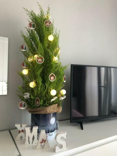 Apartament Korner ?rem
