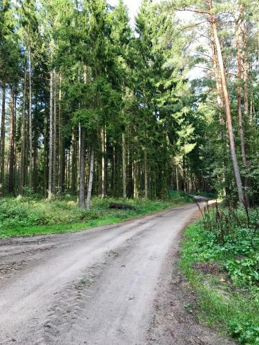Srokowski Dw�r 1 - Stara Ku?nia