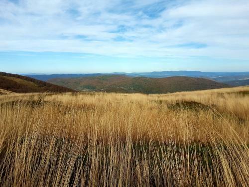 Baza W Bieszczady
