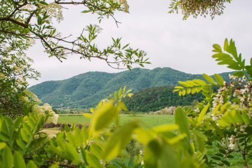 Agroturismo Mas Puigdevall