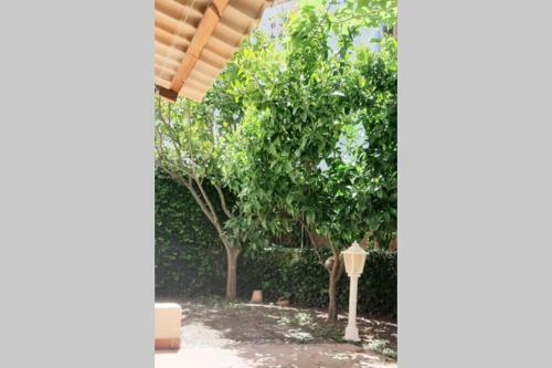 Family House For 6 People In Valldemossa