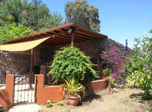 Peaceful House, Set On A Vineyard & Beautiful Views