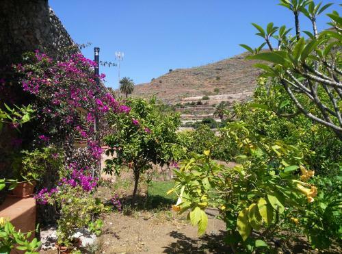 Peaceful House, Set On A Vineyard & Beautiful Views