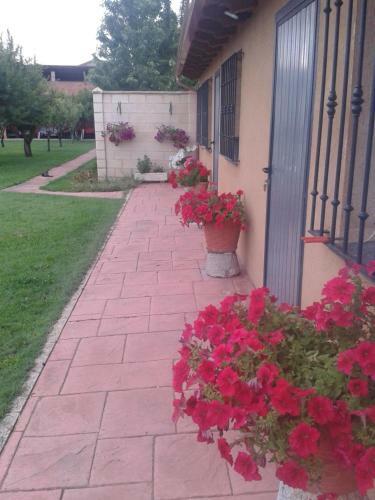 Casa Constanza