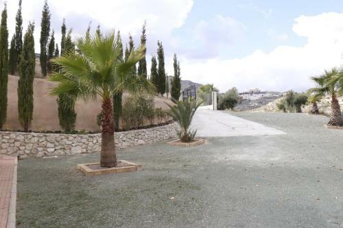 Mirador De Amparo