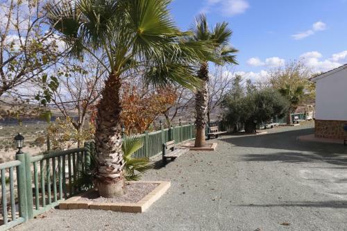 Mirador De Amparo