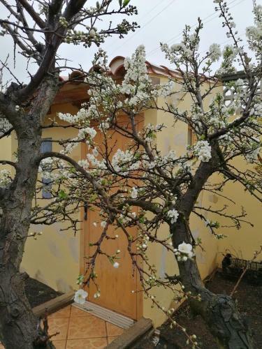 Casa Jardin