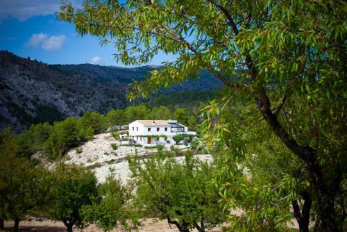 Apartamento Cortijo Blanco