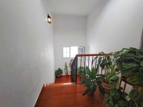 Apartamento Sophie Home - Country House