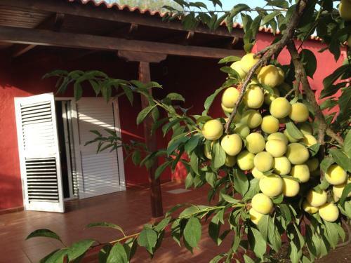 Villa Rafael