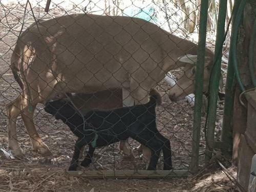Finca Rural Torres Casas 1 Y 4 Low Cost