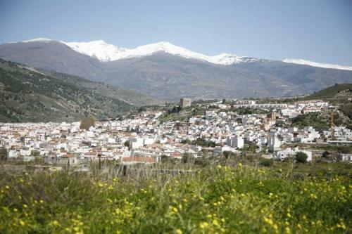 Apartamento Las Terrazas Del Jardin Nazari B41