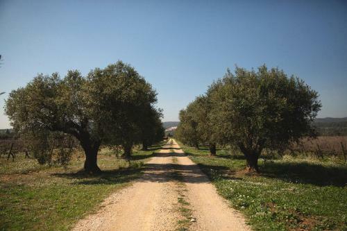 Masia Bartomeu Rural House Between Vineyards 2km From The Beach