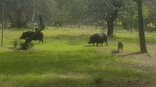 Masia Bartomeu Rural House Between Vineyards 2km From The Beach