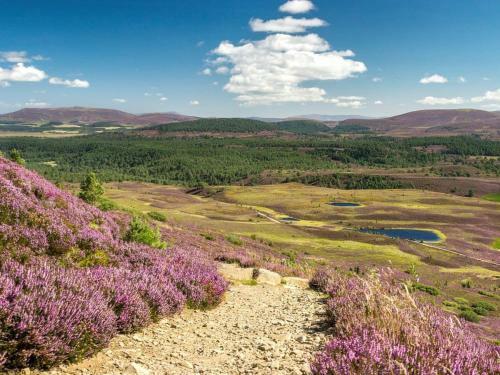 Meall Darroch
