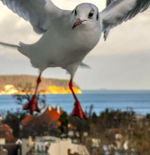 Pokoje Przy Pla?y