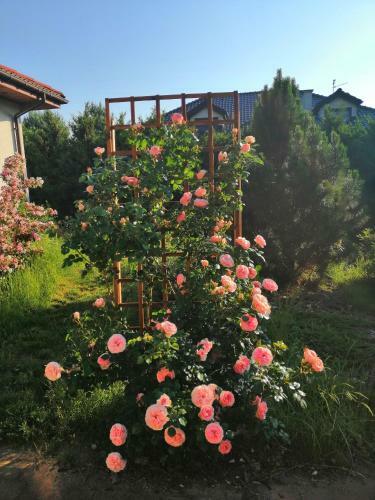 Pokoje Nad M?ynem