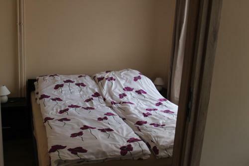Apartamenty U Bodzia